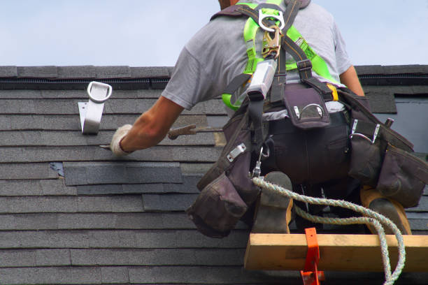 Best Shingle Roofing Installation  in Plainwell, MI