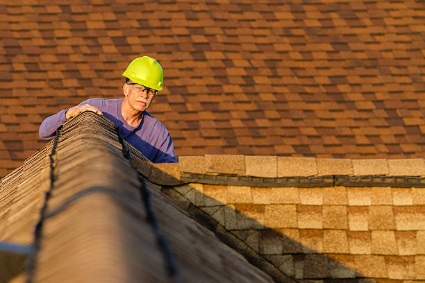 Best Roof Gutter Cleaning  in Plainwell, MI