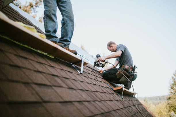 Best Roof Gutter Cleaning  in Plainwell, MI